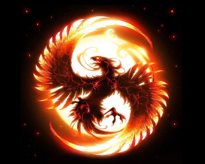 Logo de Fénix, equipo confirmado en la Copa Oriental 2026